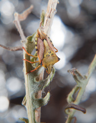 Similar image 12653771