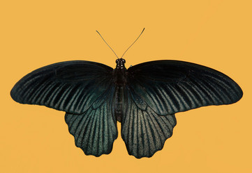 Similar image 12653808