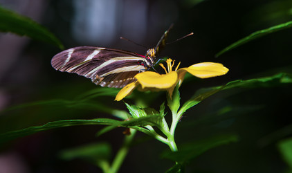 Similar image 12653830