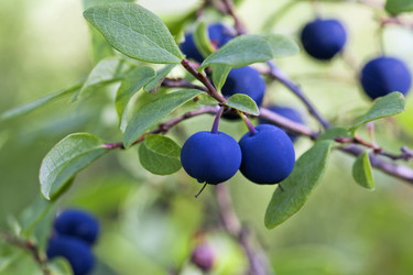 Similar image 12579750