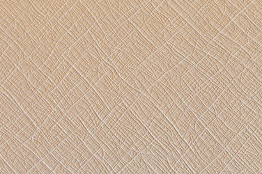 Similar image 12594219