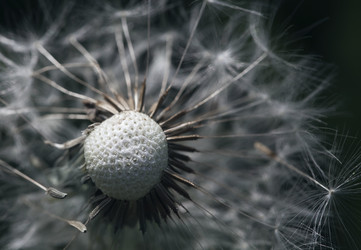 Similar image 12588645