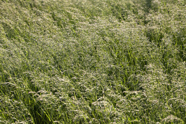 Similar image 12588648