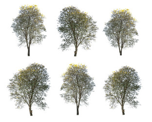 Similar image 12477990