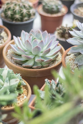 Similar image 12481254