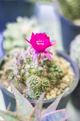 Similar image 12481278