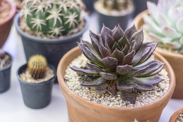 Similar image 12481522