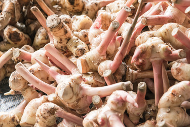 Similar image 12484690