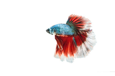 Similar image 12484719