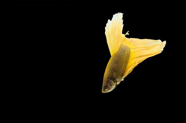 Similar image 12484728