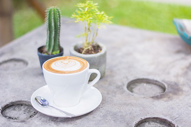 Similar image 12484898