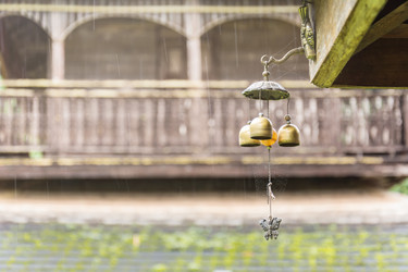 Similar image 12471434