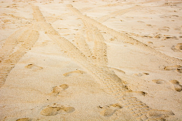 Similar image 12475302