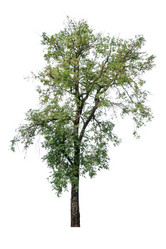 Similar image 12484885