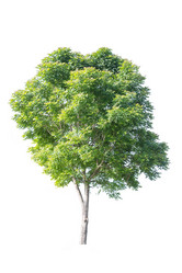 Similar image 12475559