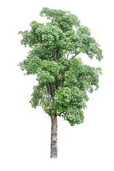 Similar image 12478358