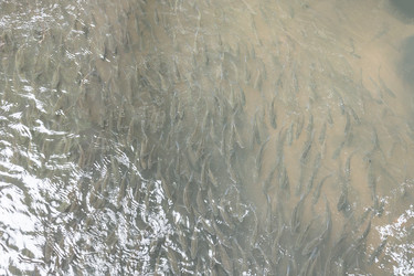 Similar image 12481783