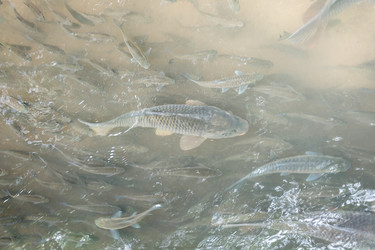 Similar image 12481797