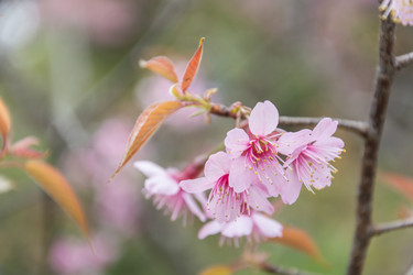 Similar image 12484890