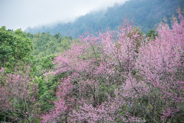 Similar image 12484891