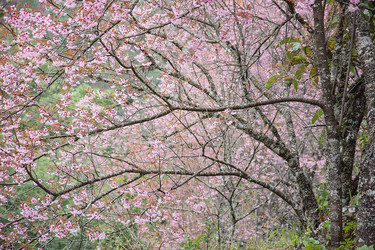 Similar image 12484892