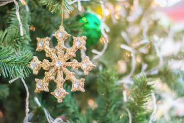 Similar image 12484926