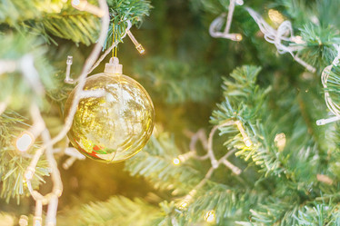 Similar image 12484927