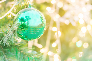 Similar image 12484928