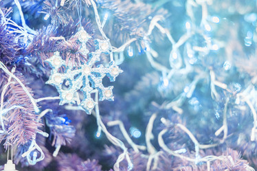 Similar image 12484929