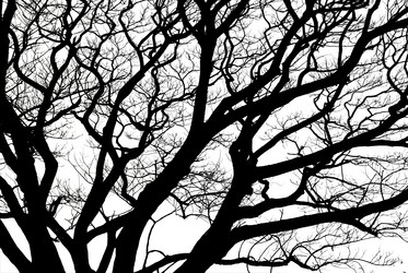 Similar image 12472058