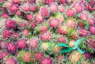 Similar image 12472116