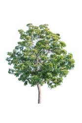 Similar image 12472141