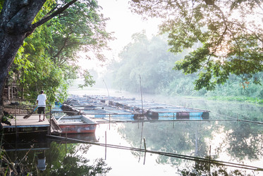 Similar image 12475407