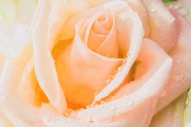 Similar image 12475422