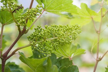 Similar image 12475440