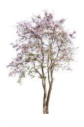 Similar image 12476482