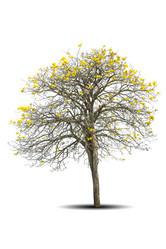 Similar image 12476585