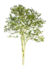 Similar image 12476597