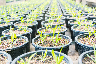 Similar image 12481468