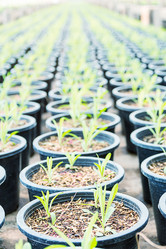 Similar image 12481480