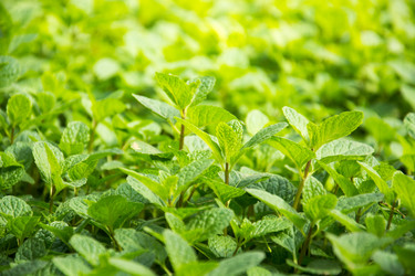 Similar image 12481493