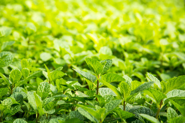 Similar image 12481627