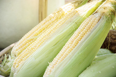 Similar image 12481659