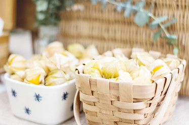 Similar image 12483035