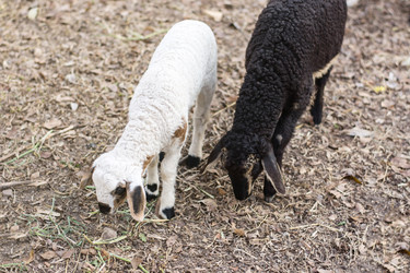 Similar image 12484893