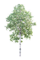 Similar image 12484894