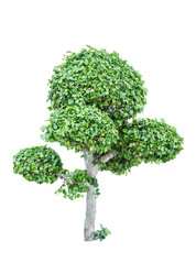 Similar image 12475773