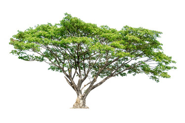 Similar image 12481503