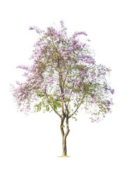 Similar image 12481511