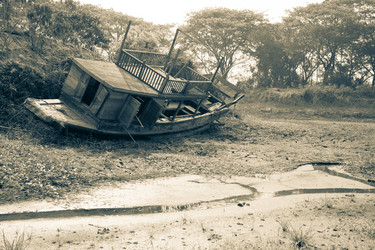 Similar image 12472231